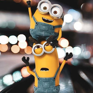 Meet your Posher, Colt